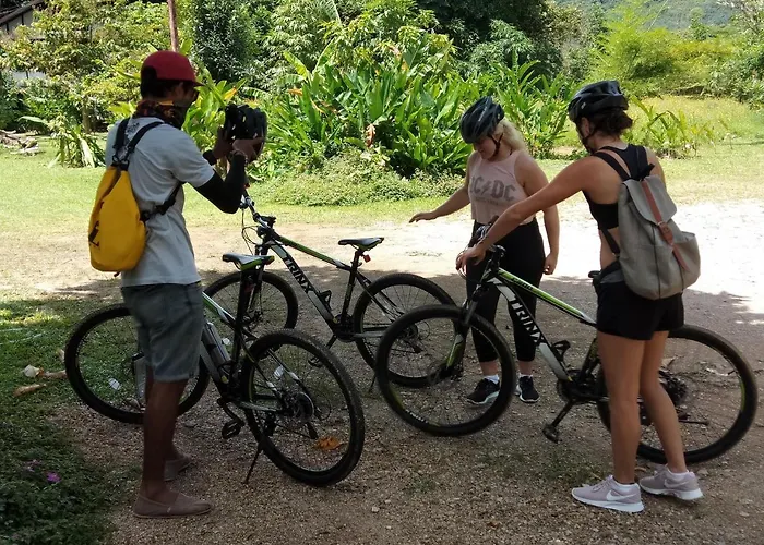 Khao Sok Homestay Resort